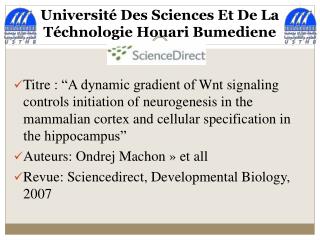 Université Des Sciences Et De La Téchnologie Houari Bumediene