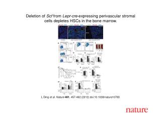 L Ding et al . Nature 481 , 457-462 (2012) doi:10.1038/nature10783