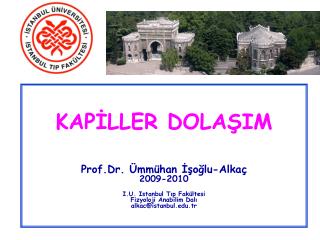 KAPİLLER DOLAŞIM Prof.Dr. Ümmühan İşoğlu-Alkaç 2009-2010