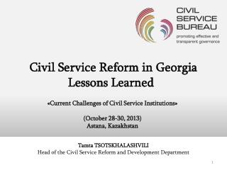 Civil Service Reform in Georgia Lessons Learned