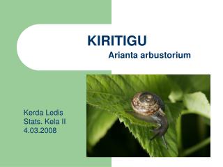 KIRITIGU Arianta arbustorium