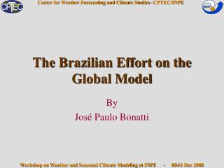 The Brazilian Effort on the Global Model