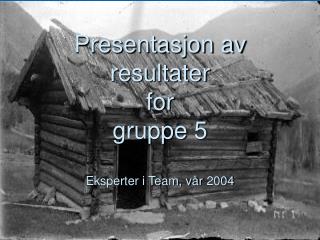 Presentasjon av resultater for gruppe 5 Eksperter i Team, vår 2004