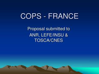 COPS - FRANCE