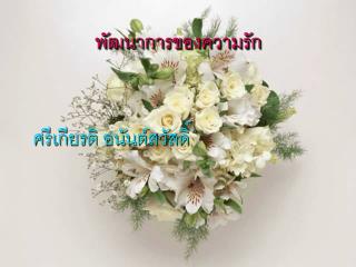 พัฒนาการของความรัก ศรีเกียรติ อนันต์สวัสดิ์