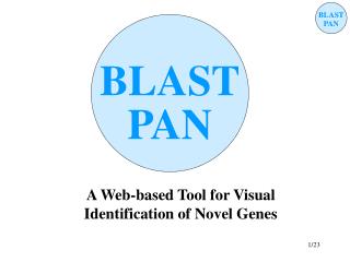 A Web-based Tool for Visual Identification of Novel Genes