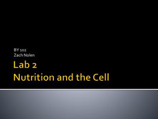 Lab 2 Nutrition and the Cell