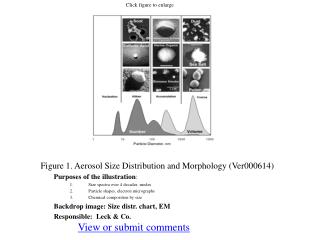 Figure 1. Aerosol Size Distribution and Morphology (Ver000614)