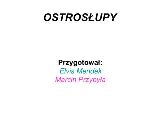 OSTROSŁUPY