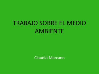 TRABAJO SOBRE EL MEDIO AMBIENTE