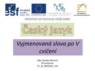 Český jazyk