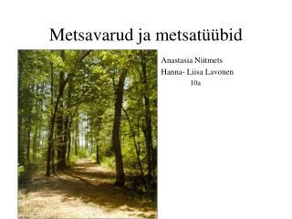 Metsavarud ja metsatüübid