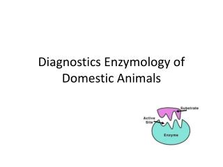 Diagnostics Enzymology of Domestic Animals