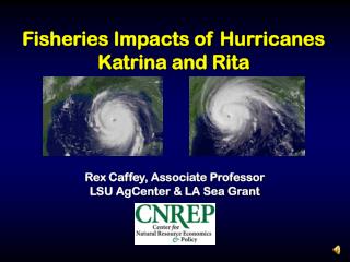 Fisheries Impacts of Hurricanes Katrina and Rita