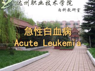 急性白血病 Acute Leukemia