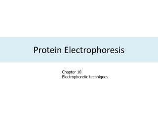 Protein Electrophoresis