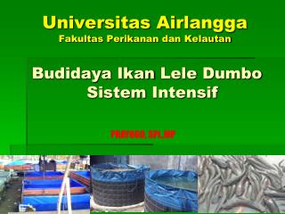 Universitas Airlangga Fakultas Perikanan dan Kelautan