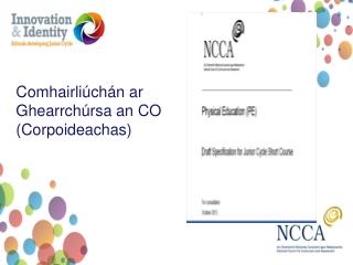 Comhairliúchán ar Ghearrchúrsa an CO ( Corpoideachas )