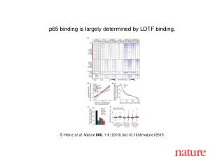 S Heinz et al. Nature 000 , 1-6 (2013) doi:10.1038/nature12615