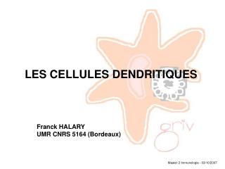 LES CELLULES DENDRITIQUES Franck HALARY UMR CNRS 5164 (Bordeaux)