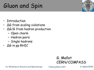 Gluon and Spin