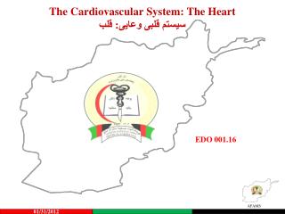 The Cardiovascular System: The Heart سيستم قلبى وعايى: قلب