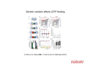 S Heinz et al. Nature 000 , 1-6 (2013) doi:10.1038/nature12615