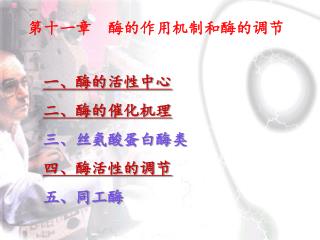 第十一章 酶的 作用机制和酶的调节