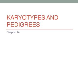 Karyotypes and Pedigrees