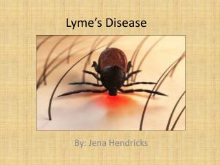 Lyme’s Disease