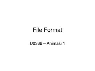 File Format