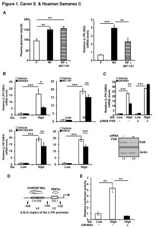 Figure 1. Caron S &amp; Huaman Samanez C