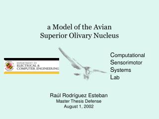 a Model of the Avian Superior Olivary Nucleus