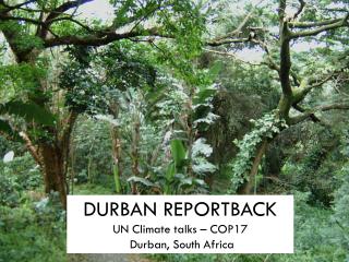 DURBAN REPORTBACK UN Climate talks – COP17 Durban, South Africa