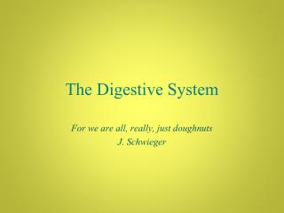 The Digestive System