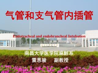 气管和支气管内插管 Endot racheal and endobrancheal Intubation