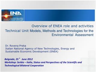 Overview of ENEA role and activities