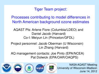 Tiger Team project :