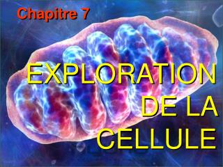 EXPLORATION DE LA CELLULE