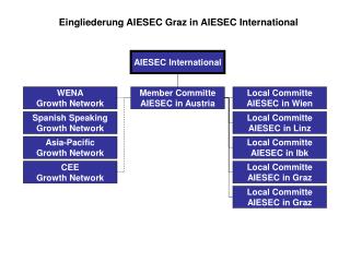 Eingliederung AIESEC Graz in AIESEC International