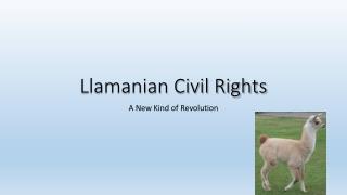 Llamanian Civil Rights