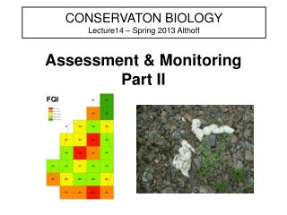 CONSERVATON BIOLOGY Lecture14 – Spring 2013 Althoff