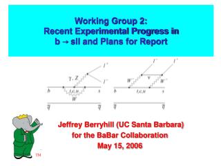 Working Group 2: Recent Experimental Progress in b → sll and Plans for Report