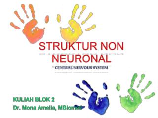 STRUKTUR NON NEURONAL CENTRAL NERVOUS SYSTEM