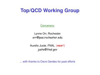 Top/QCD Working Group