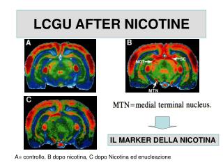 LCGU AFTER NICOTINE