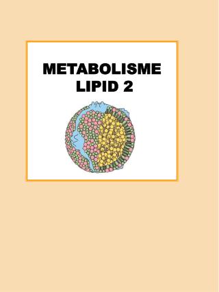 METABOLISME LIPID 2
