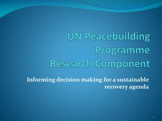 UN Peacebuilding Programme Research Component