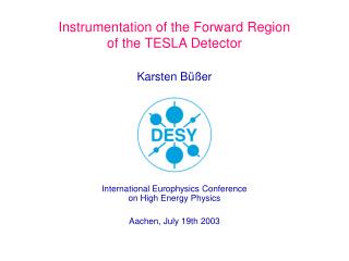 Instrumentation of the Forward Region of the TESLA Detector