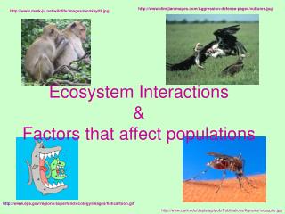 Ecosystem Interactions &amp; Factors that affect populations